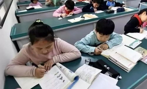 中小學(xué)課后服務(wù)全面鋪開(kāi)，教育咨詢助力家長(zhǎng)滿意度提升